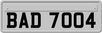 BAD7004