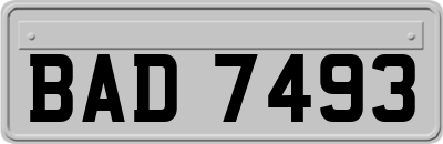 BAD7493