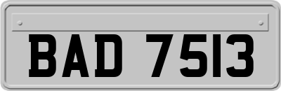 BAD7513