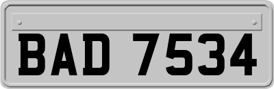 BAD7534