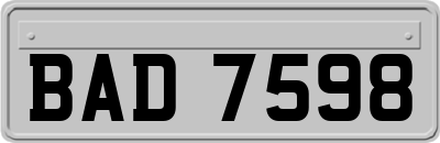BAD7598