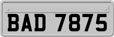 BAD7875