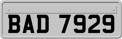 BAD7929