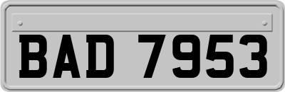 BAD7953