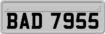 BAD7955