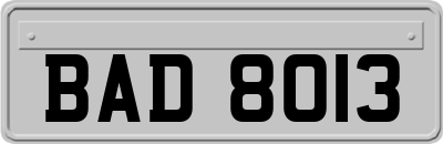 BAD8013
