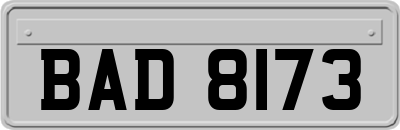 BAD8173