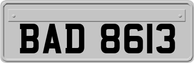BAD8613
