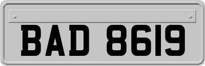 BAD8619