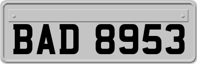 BAD8953