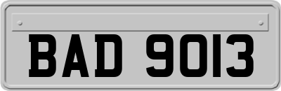 BAD9013