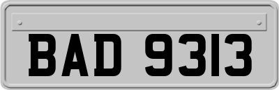BAD9313