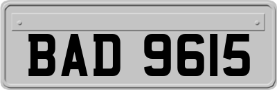 BAD9615