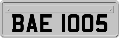 BAE1005