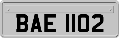 BAE1102