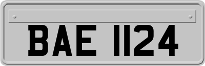 BAE1124