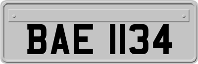 BAE1134