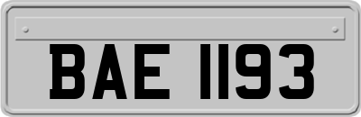 BAE1193