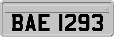 BAE1293
