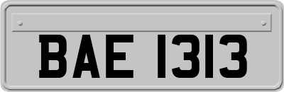 BAE1313