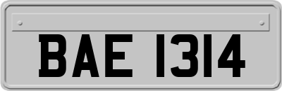 BAE1314