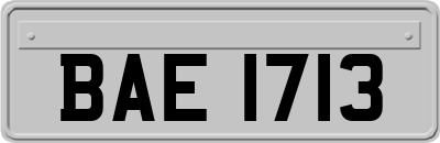 BAE1713