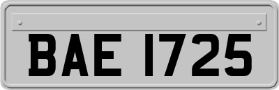 BAE1725