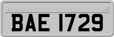 BAE1729