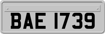 BAE1739