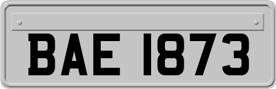 BAE1873