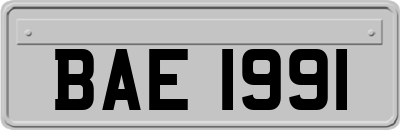 BAE1991