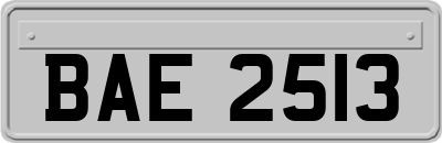 BAE2513