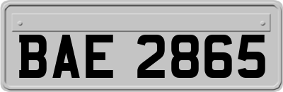 BAE2865