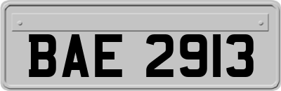 BAE2913