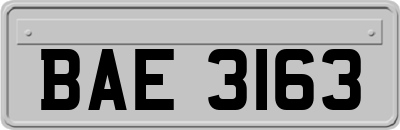 BAE3163