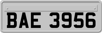 BAE3956