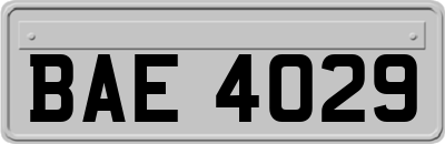 BAE4029
