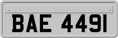 BAE4491