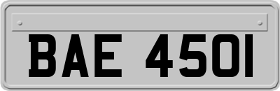 BAE4501