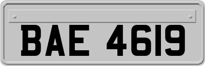 BAE4619