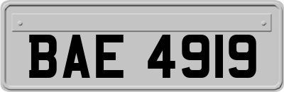 BAE4919