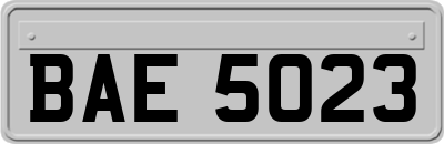 BAE5023