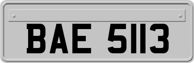 BAE5113