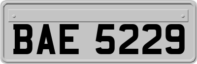 BAE5229