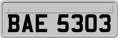 BAE5303