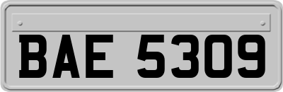 BAE5309