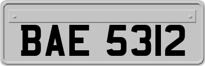 BAE5312