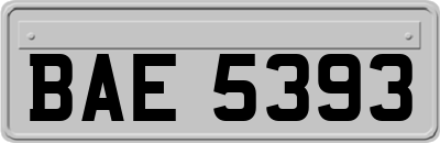 BAE5393