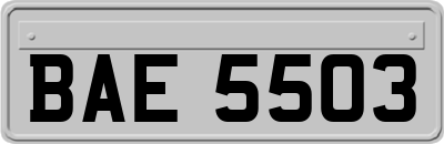 BAE5503