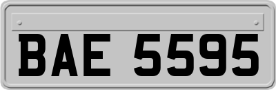 BAE5595